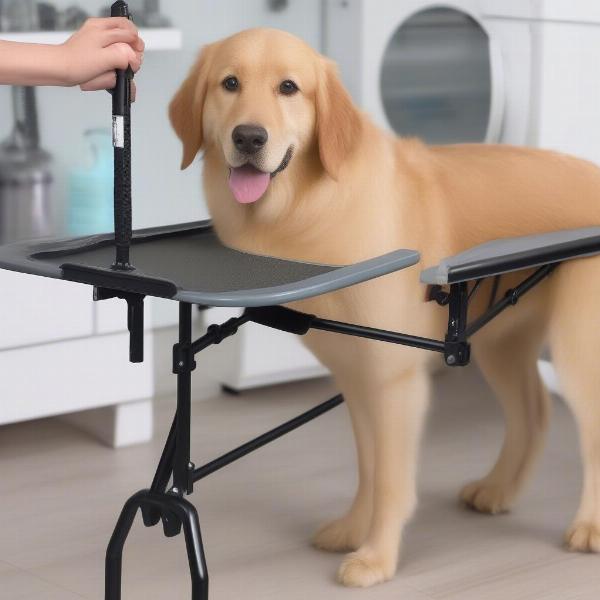 Dog Grooming Table Features