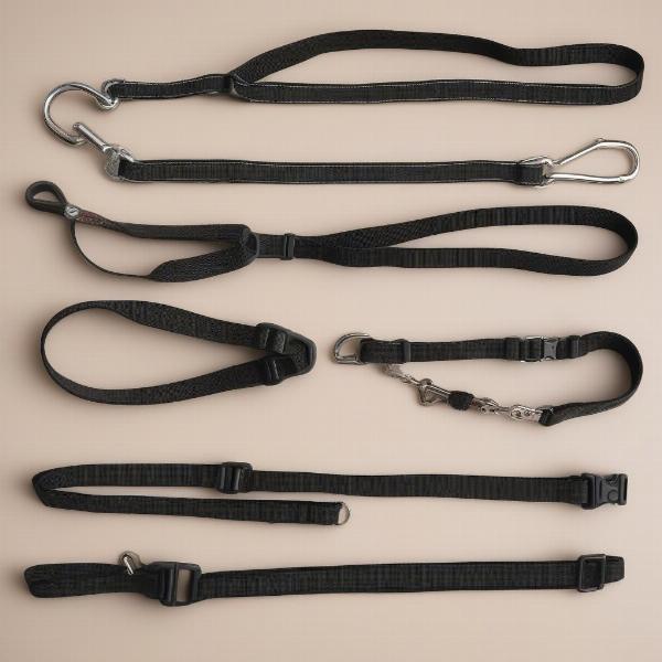 Dog Harness, Collar, and Lead Combinations