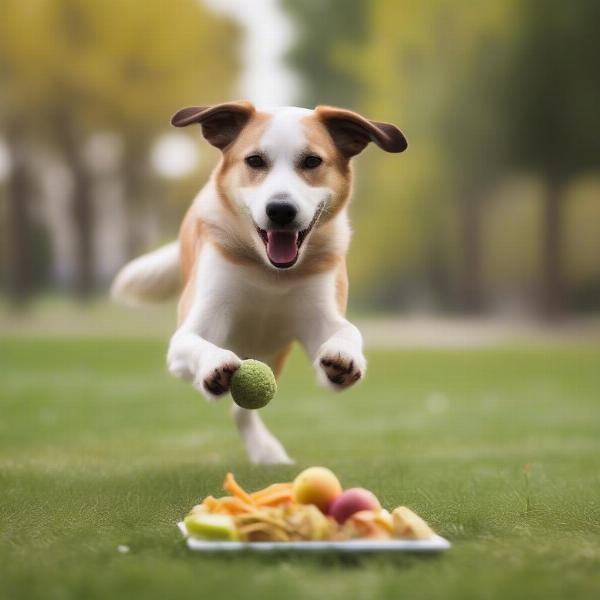 Dog with Healthy Diet and Exercise