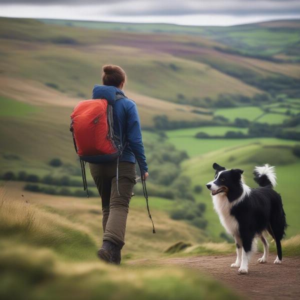 Dog hiking on a scenic trail in the Peak District