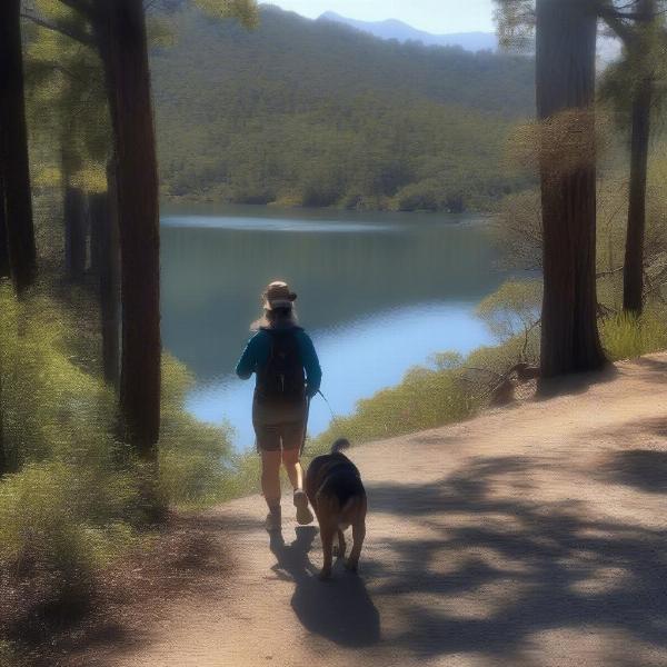 Dog Hiking in Whiskeytown National Recreation Area near Redding