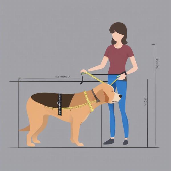 Measuring your dog for a sweatshirt