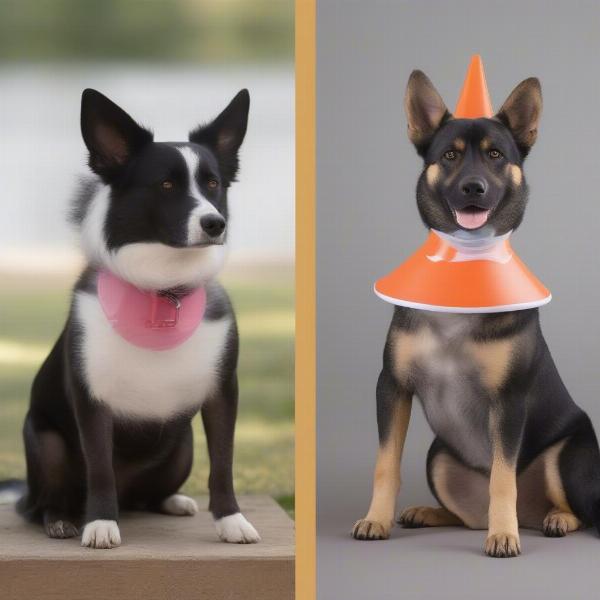 Comparison of dog inflatable collar and cone