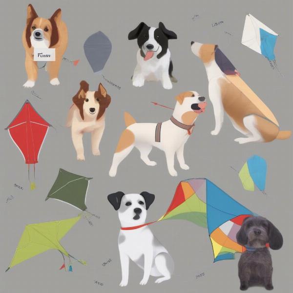 Choosing the Right Dog Kite for Your Pup