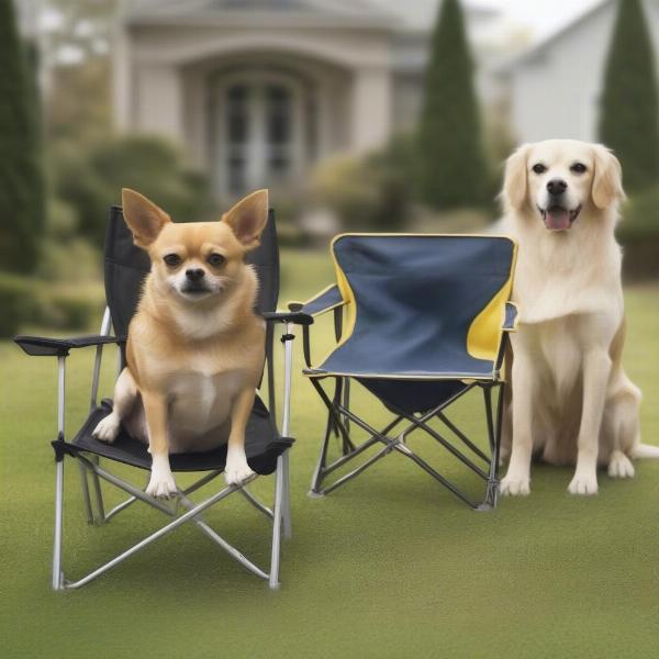 Dog Lawn Chair Sizes