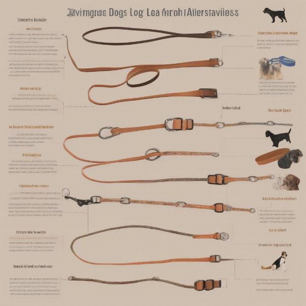 Dog Lead Alternatives