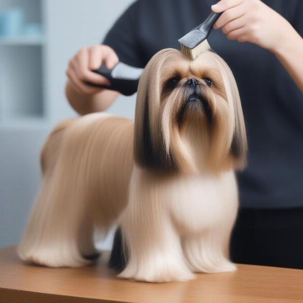 Brushing Dog After Applying Leave-In Conditioner