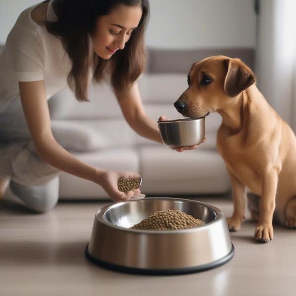 A dog mum feeds her dog healthy food