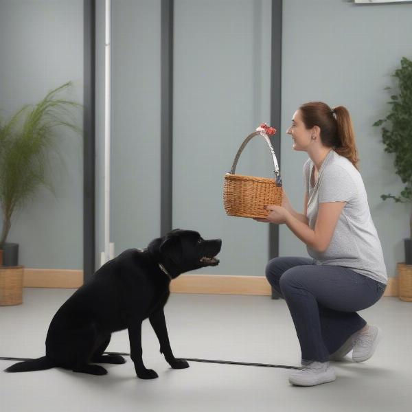 Dog Muzzle Training Using Positive Reinforcement