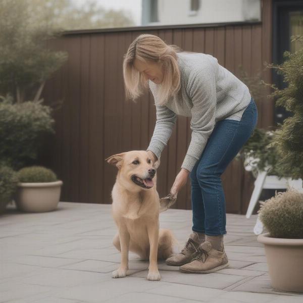 Dog owner cleaning up after their dog on a patio