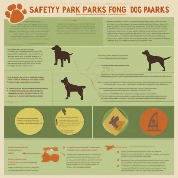 Dog Park Belfast Safety Tips