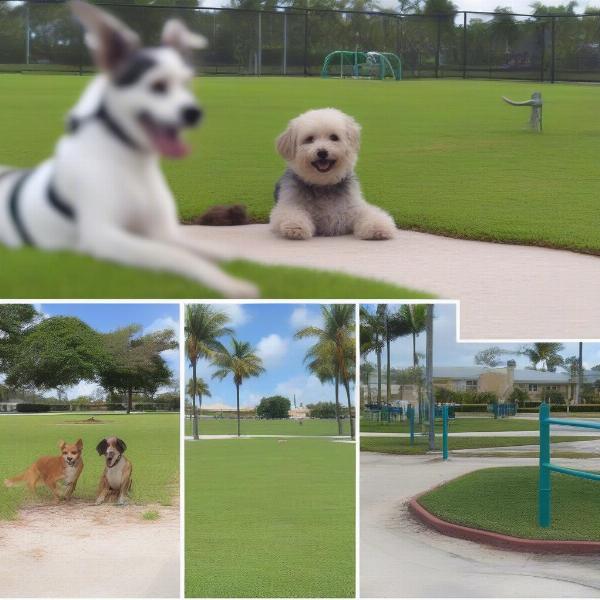 Top Dog Parks in Boca Raton