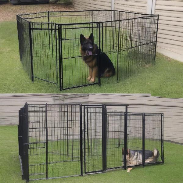 Choosing the Right Size and Height for a Dog Pen