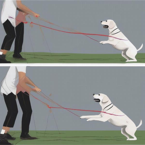 Dog Playing Tug-of-War: Physical and Mental Benefits