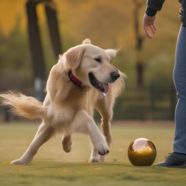 Dog Playing Safely with a Horse Ball