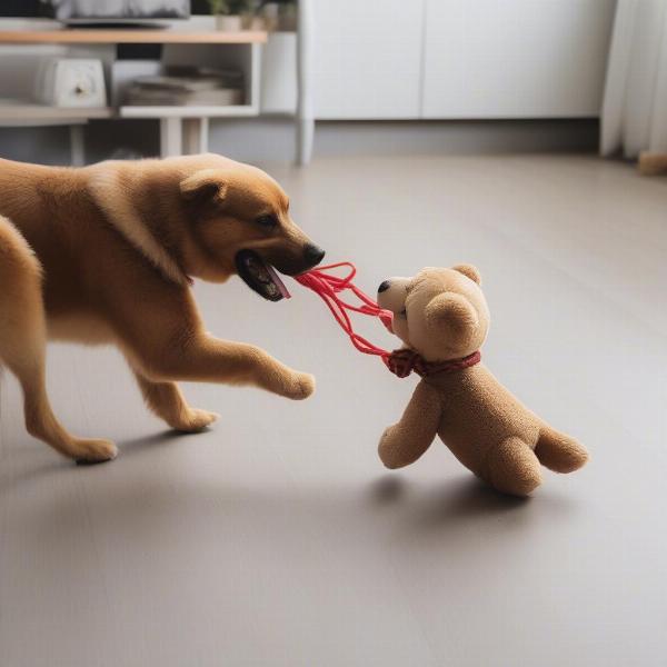 Dog playing with indestructible teddy