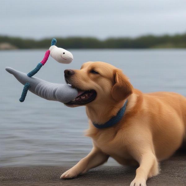 Dog Playing with Narwhal Toy