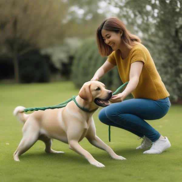 Dog and owner interacting playfully in a garden