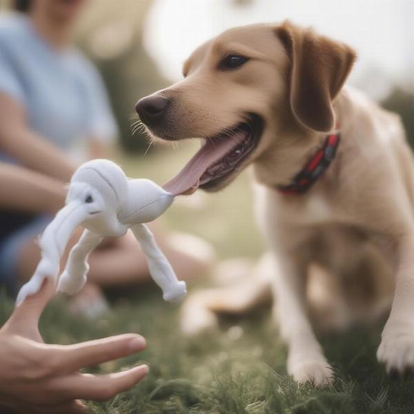 Dog Enjoying a White Claw Dog Toy