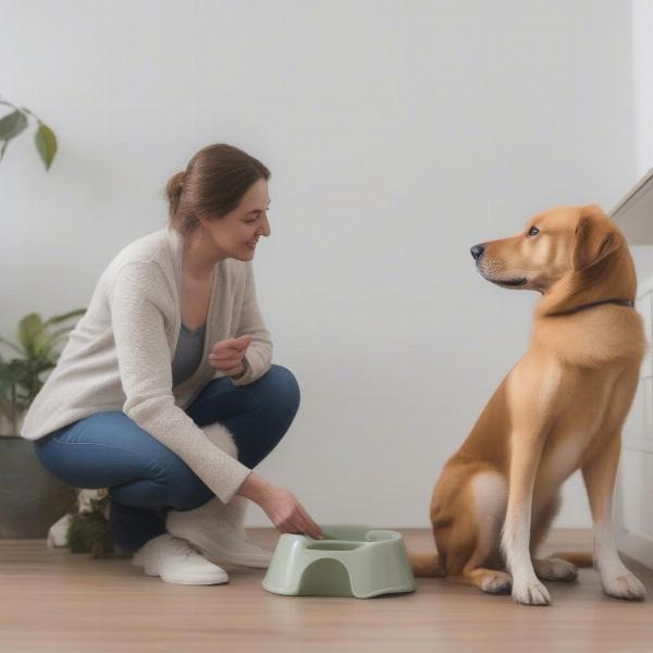 Consulting a Dog Trainer