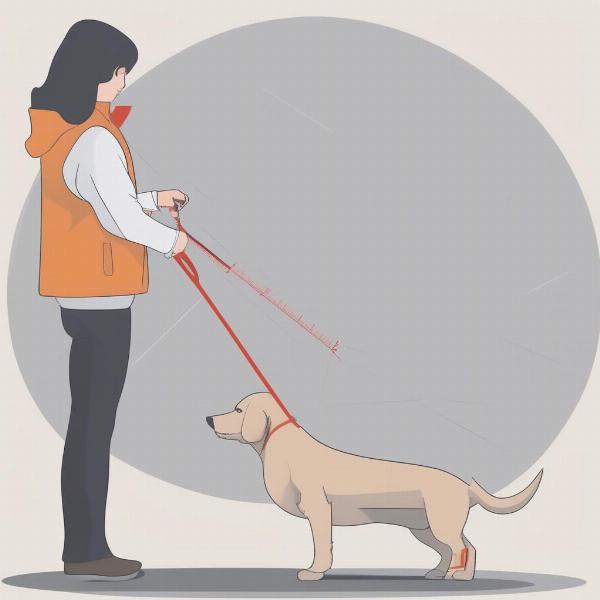 Measuring a dog for a raincoat