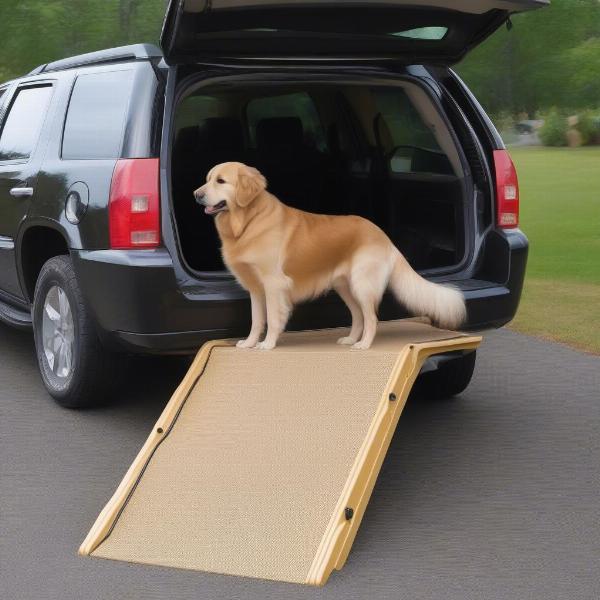 Dog ramp for SUV