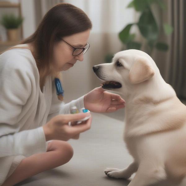 Dog Receiving Piriton from Owner