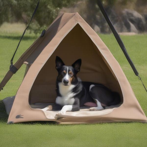 Dog Relaxing in Half Canopy Setup