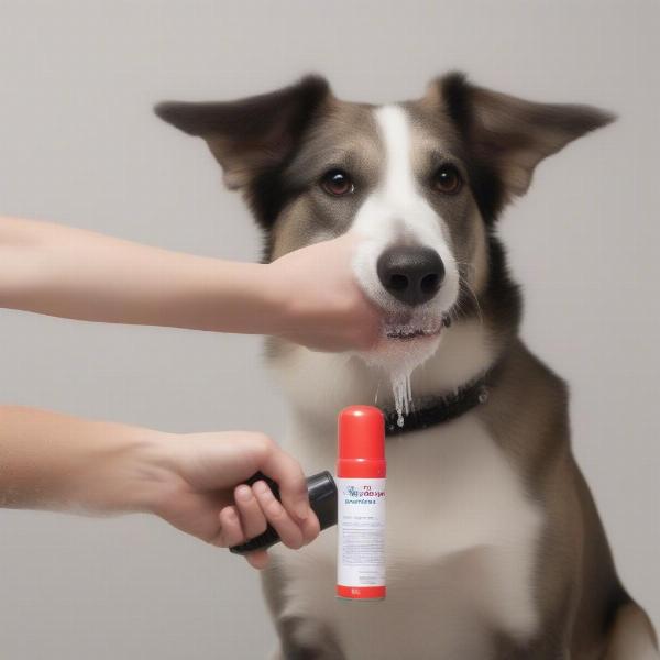 Dog Deodorizing Spray for Sensitive Skin