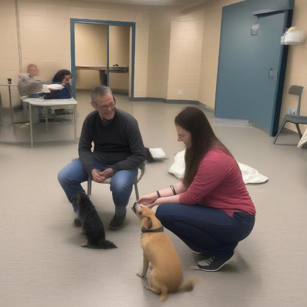 Meeting Dogs at a Londonderry Shelter