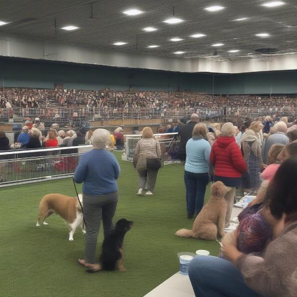 Spectators Enjoying a Dog Show in St. Paul, MN