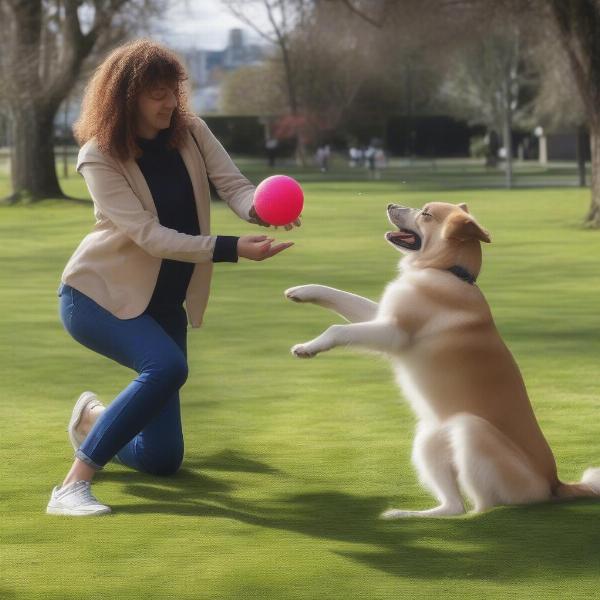 Dog Sitter in Wellington Playing with Dog