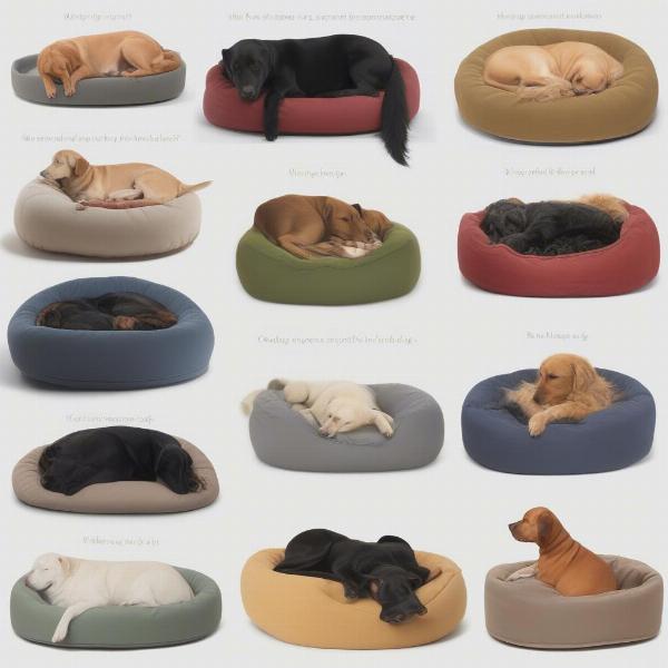 Dog sleeping styles and choosing the right dog bed blue