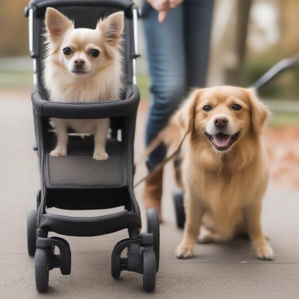 Dog Stroller with Ramp for Small and Large Dogs