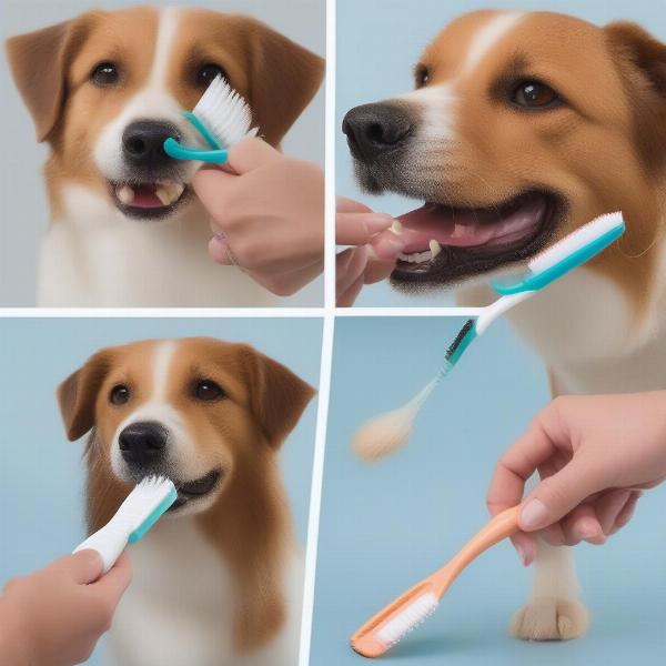 Dog Teeth Brushing at Home