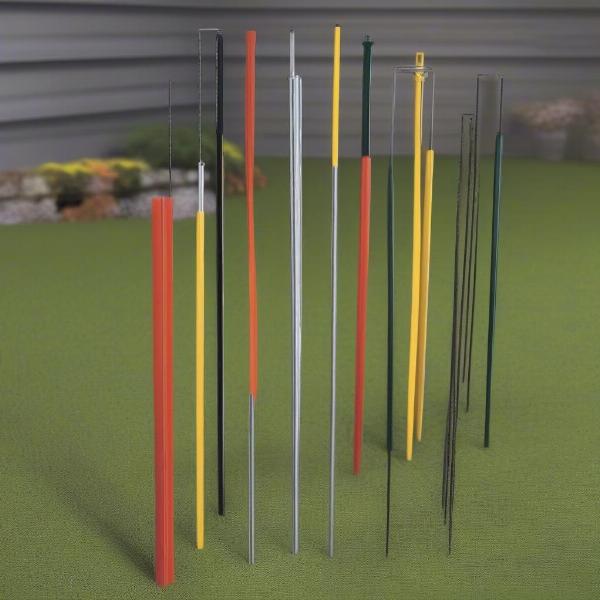 Different Types of Dog Tie Out Stakes