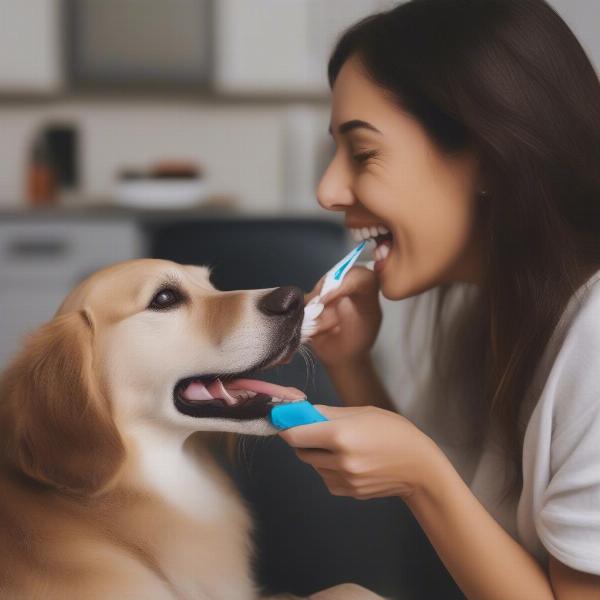 Dog getting its teeth brushed by owner