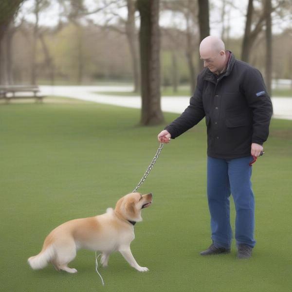 Dog Trainer Demonstrating Chain Lead Use