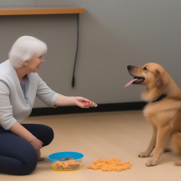 Dog Training with Behavior Modification