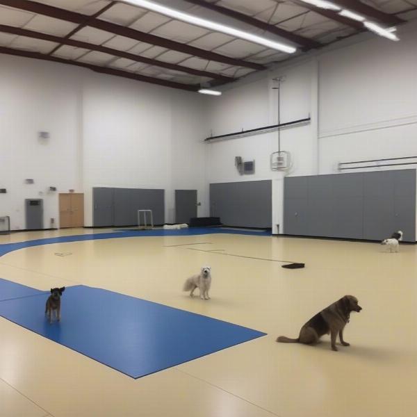 Dog Training Facilities in East Hartford