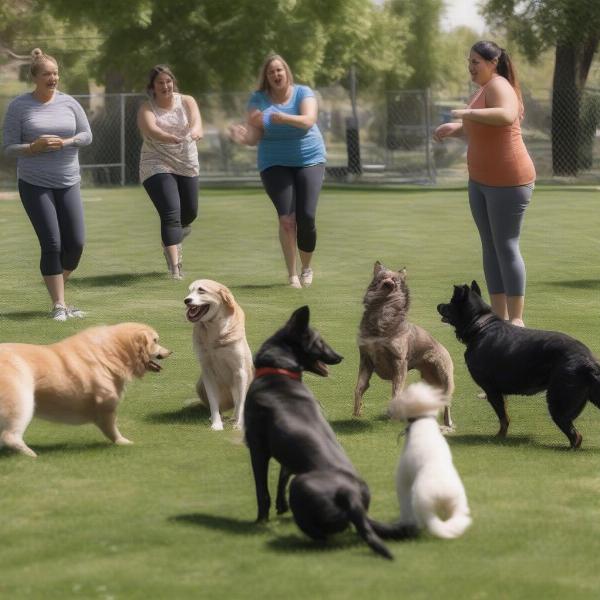 Dog Training Group Class in Logan Utah