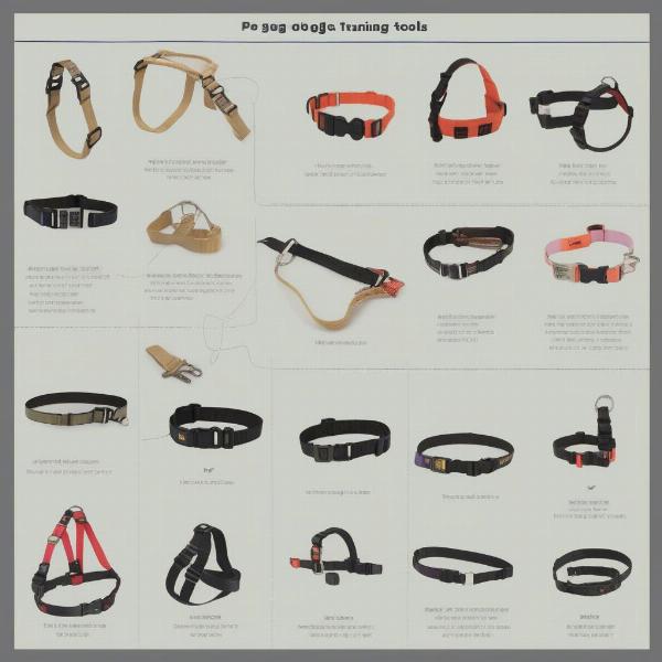 Dog Training Tools