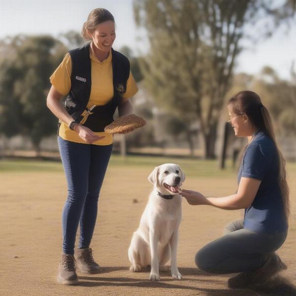 Dog Training in Wagga