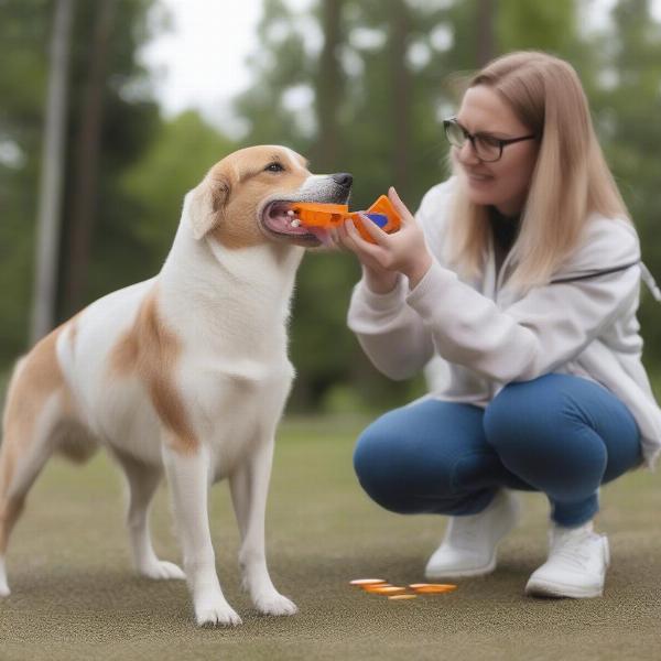 Dog Treat Pouch in Action