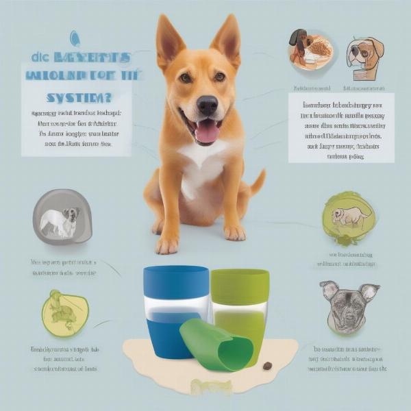 Dog Tumbler Benefits: Bloat Prevention, Improved Digestion, and Mental Stimulation