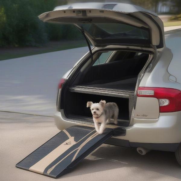 Dog Using an Auto Dog Ramp