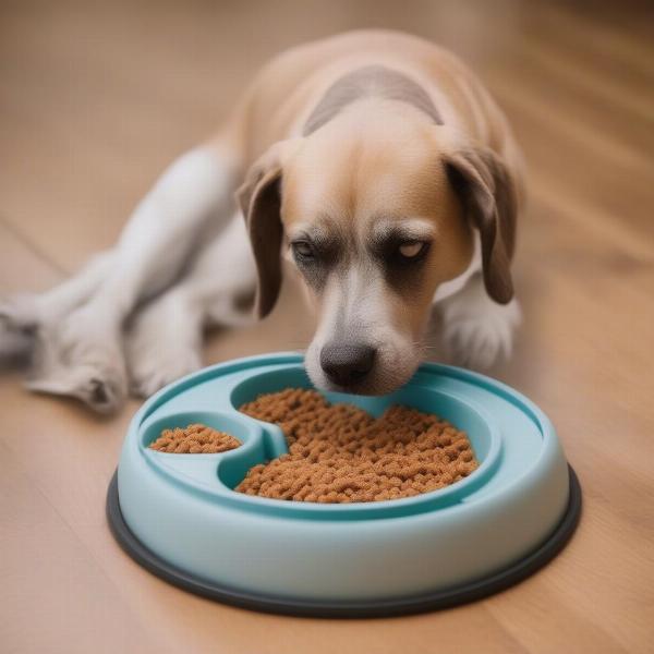 Dog Using a Slow Feeder