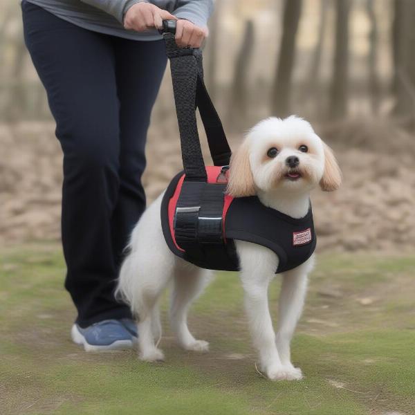 Dog Vest with Handle