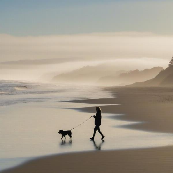 Dog walking on Moonstone Beach in Cambria California