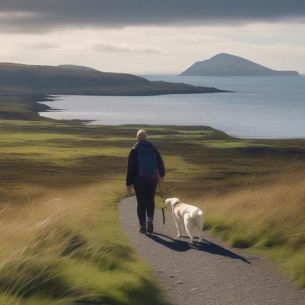 Explore scenic dog-walking trails on the Isle of Mull.